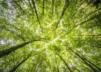 Titre RNCP Sophrologue : le vrai du faux