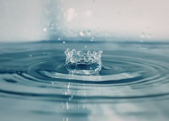 Qu'est-ce que l'hydrologie ? Zoom sur